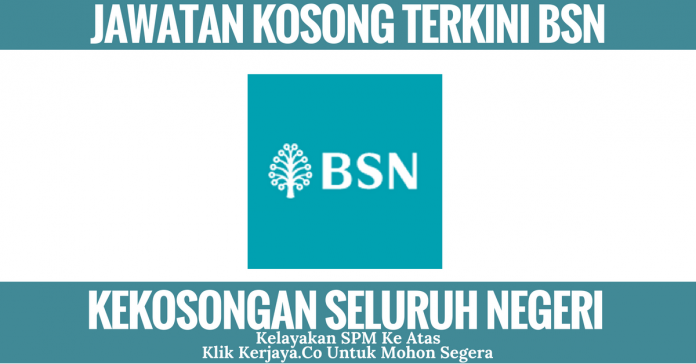 bsn-2 BSN