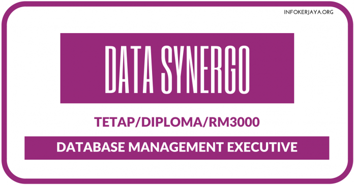 Data Synergo Database Management Executive di Data Synergo