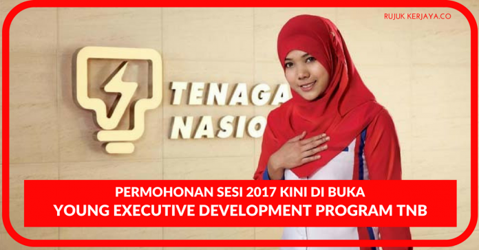 Young Executive Development Program TNB Young Executive Development Program TNB