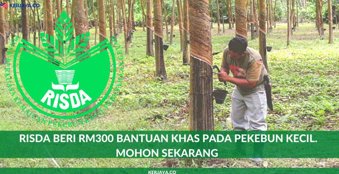 RISDA Beri RM300 Bantuan Khas Pada Pekebun Kecil. Mohon Sekarang