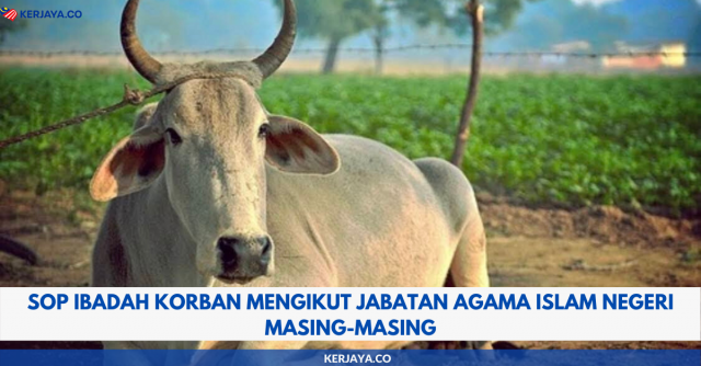 SOP Ibadah Korban Mengikut Jabatan Agama Islam Negeri Masing-Masing