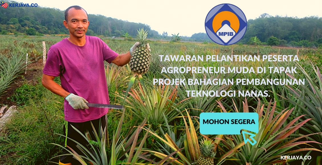 Tawaran Pelantikan Peserta Agropreneur Muda Di Tapak Projek Bahagian Pembangunan Teknologi Nanas. Mohon Segera