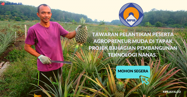 Tawaran Pelantikan Peserta Agropreneur Muda Di Tapak Projek Bahagian Pembangunan Teknologi Nanas. Mohon Segera