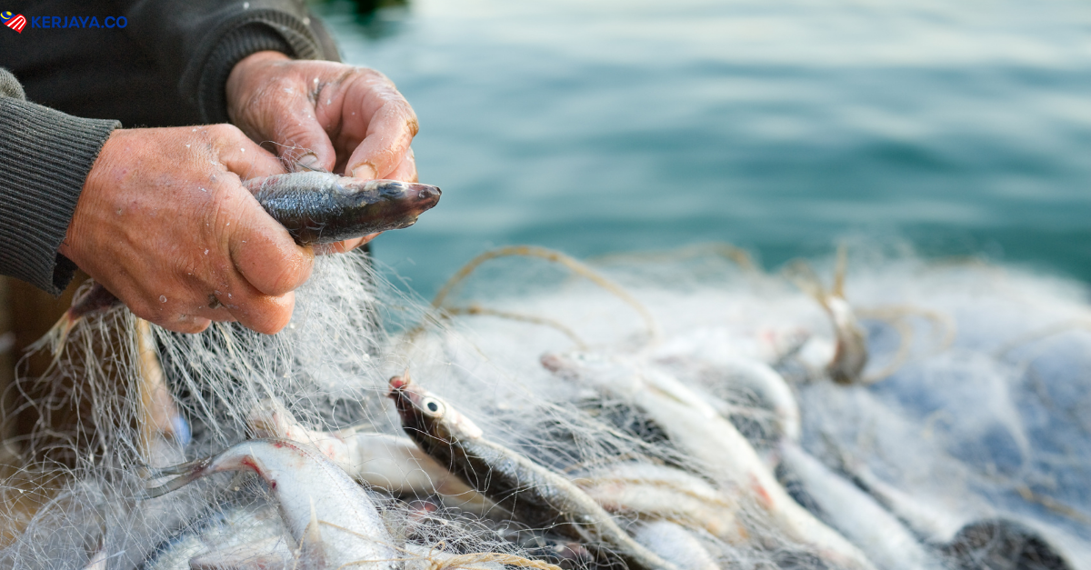 Terkini, RM300 Sebulan Untuk Nelayan. Elaun Sara Hidup Kini Dinaikkan
