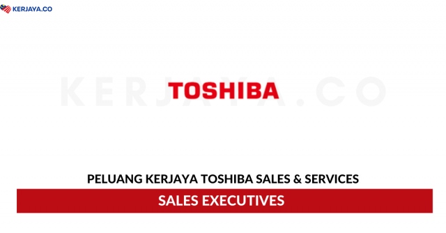 Toshiba ~ Sales Executive