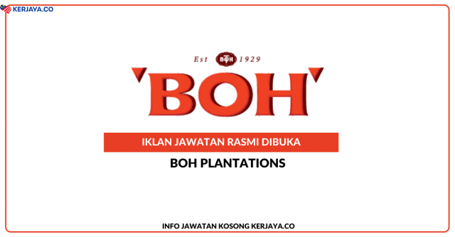 Boh Plantation