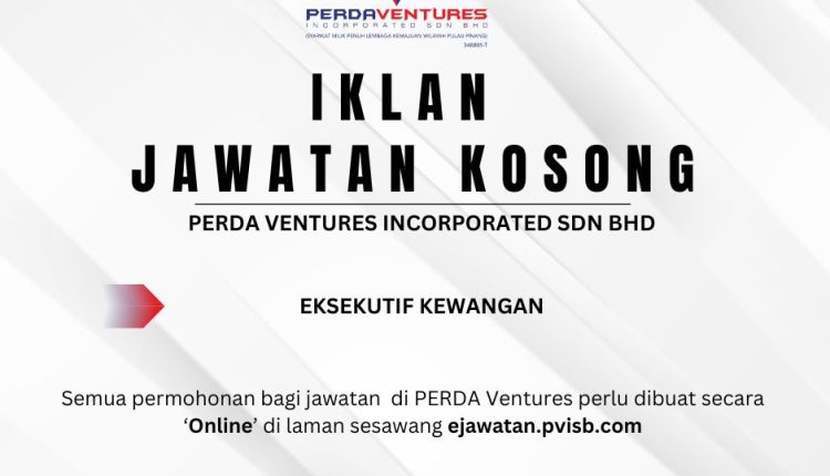 eksekutif kewangan