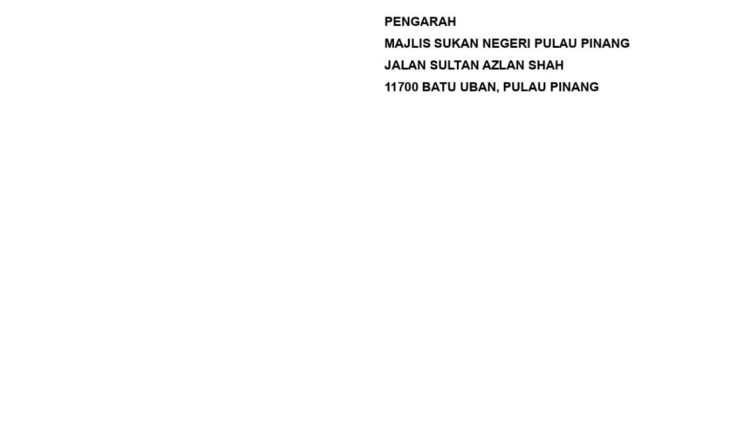 msnpp new 13
