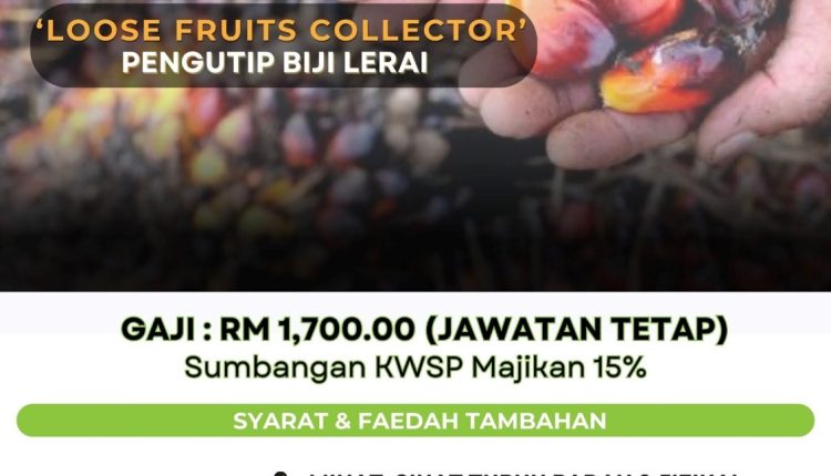 sd guthrie zakat selangor
